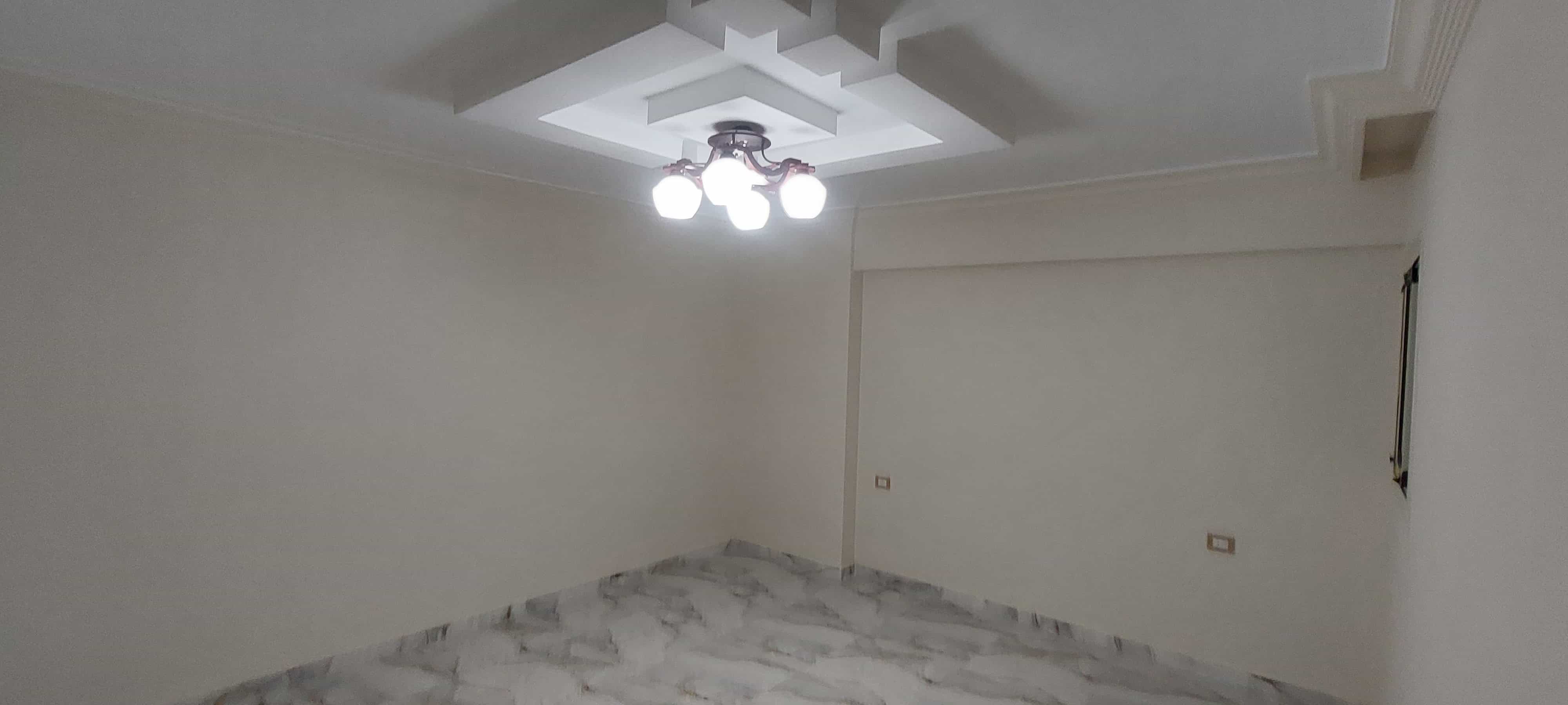 project-46 - صورة 42