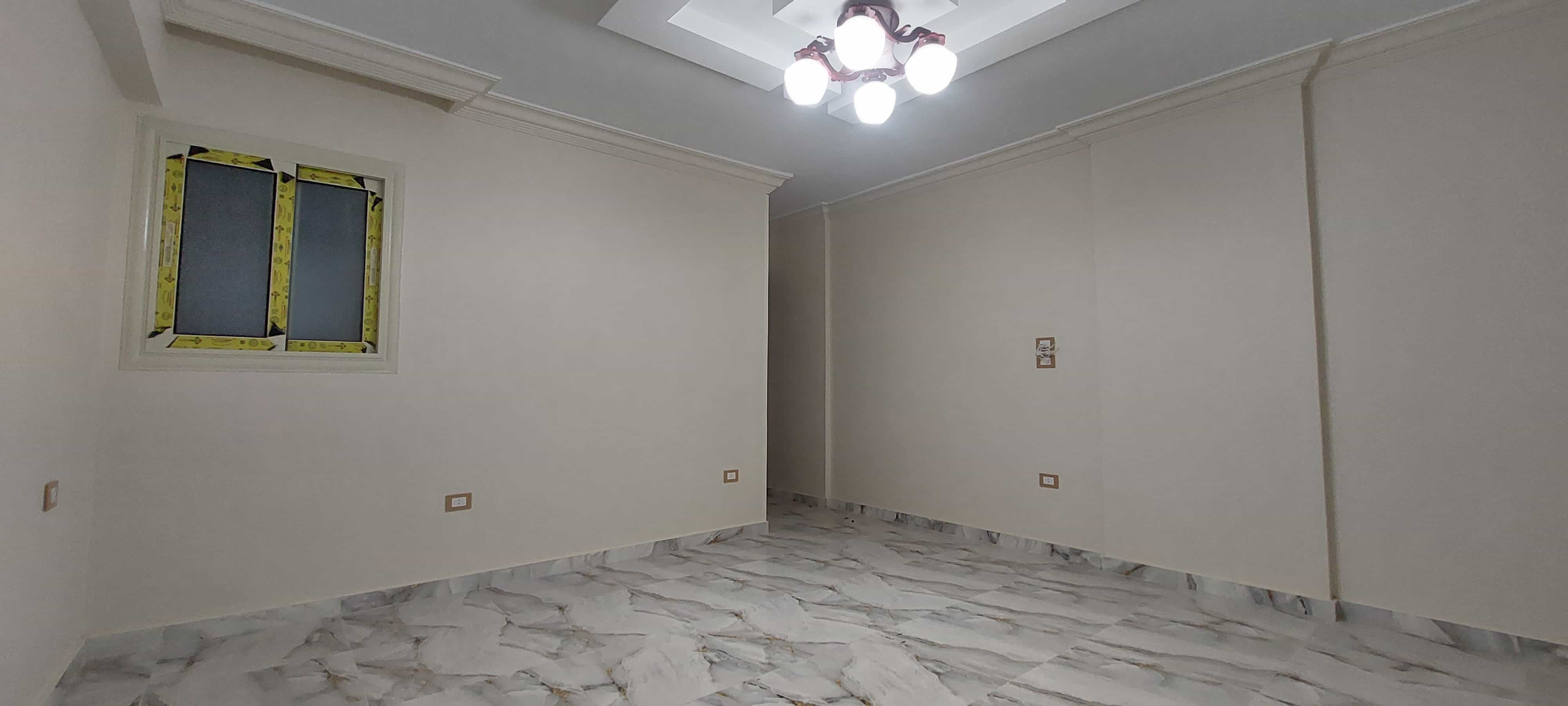 project-46 - صورة 43